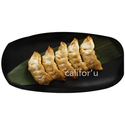 Gyoza au poulet